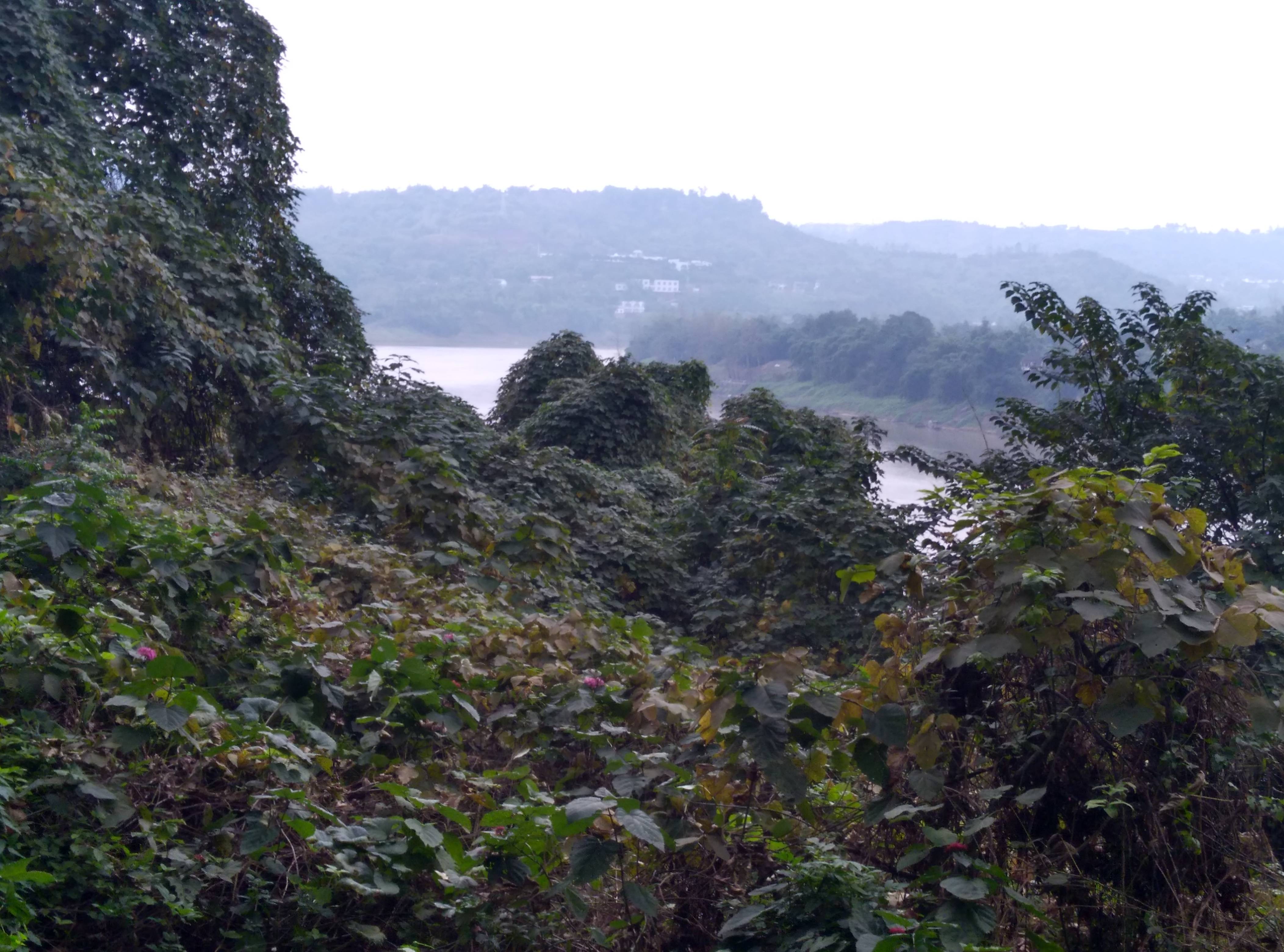 杨森|广安杨森花园：摩崖石刻记录着杨森与吴佩孚的一段交往