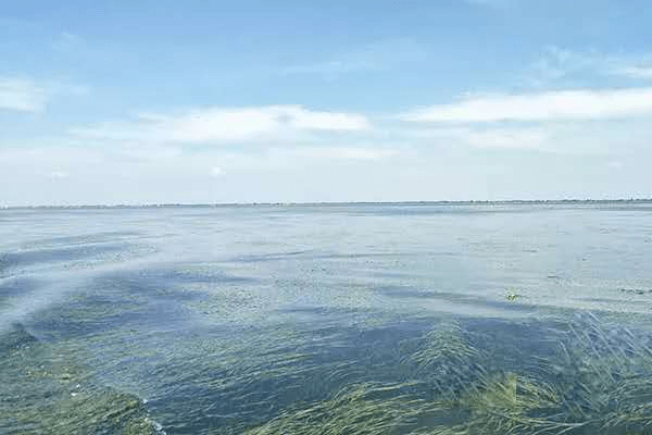 3个单位4名责任人被立案 益阳出招还大通湖自由之身