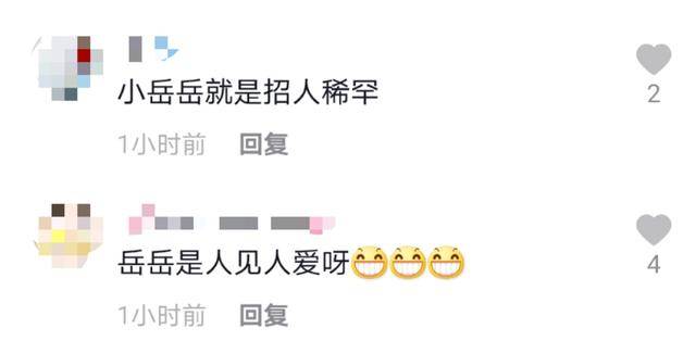 岳云鹏人缘太好，黄奕蔡少芬主动握手拥抱？手