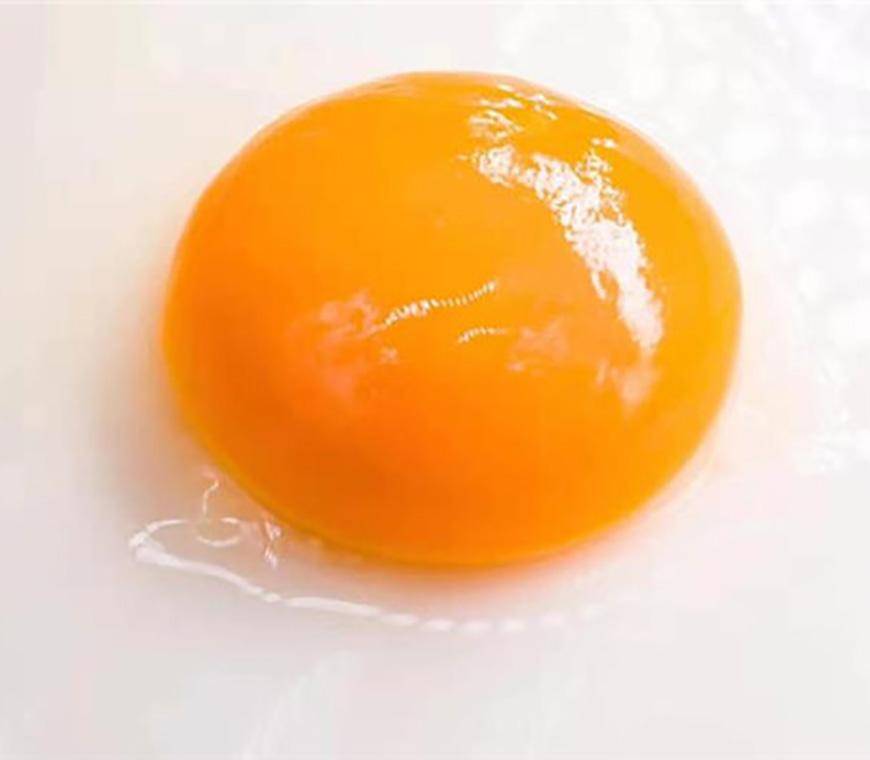 斗鸡蛋如何区分公母丨附挑选鸡蛋方法