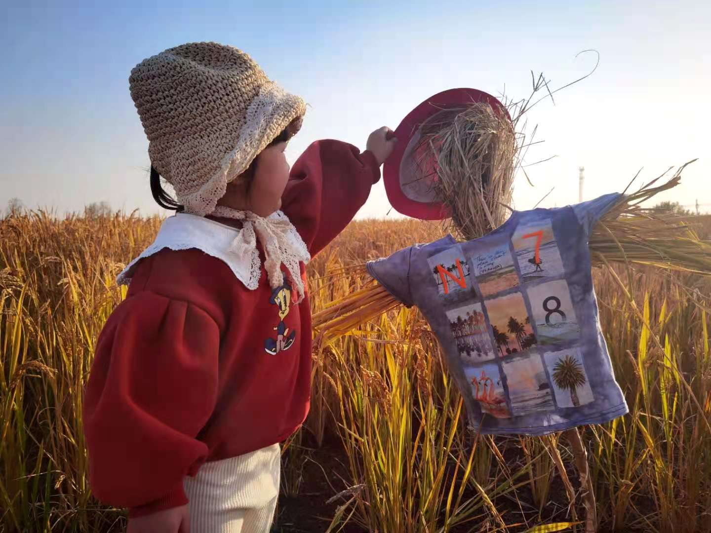 尼泊尔儿童 稻田 尼泊尔 - Pixabay上的免费照片 - Pixabay