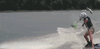 抓鱼猜成语_猫抓鱼图片(3)