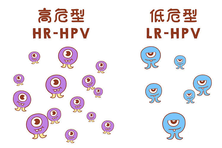 宫颈癌与hpv到底有什么关系