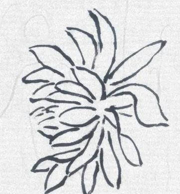 4906536e774e46e9ad659f986e5cd056.jpeg