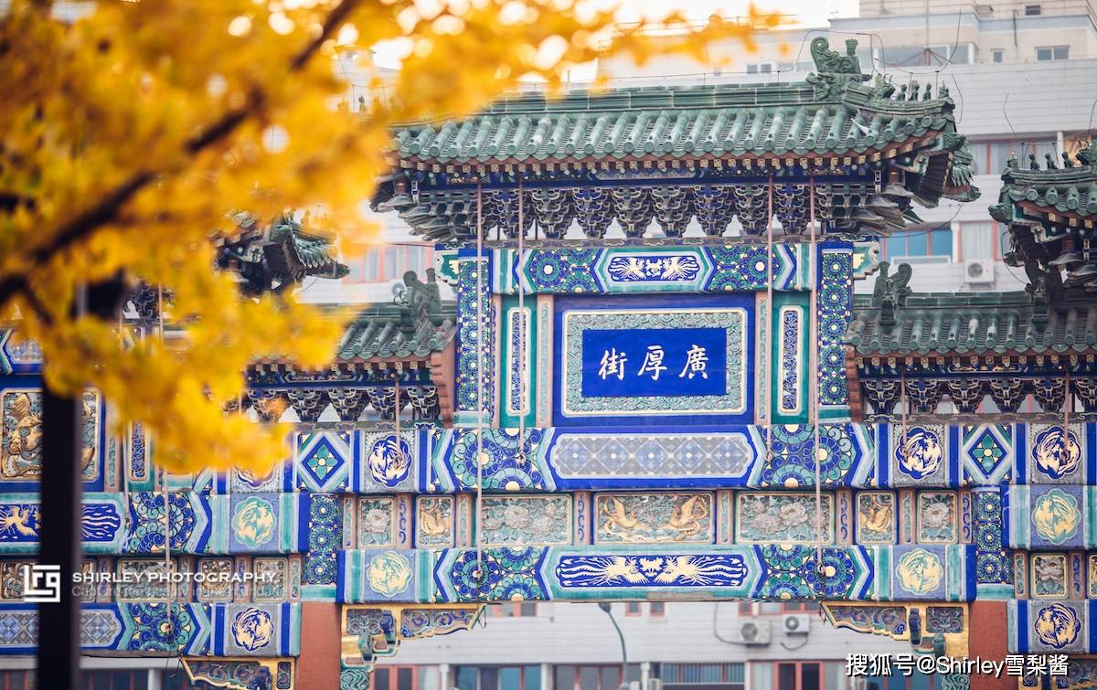 北京最经典的赏秋胜地，仅需2元，你就能拥有银杏满地的最美秋天_地坛