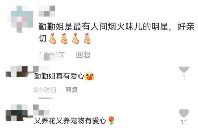 57岁李勤勤拿复式小洋房养宠物?三婚三离感情坎坷
