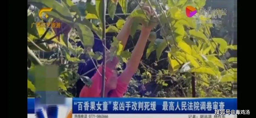 百香果女孩案凶手改判死缓,飘忽不定的死刑标准,难道只能无解?