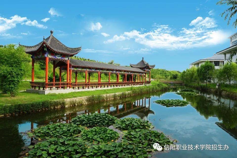 信阳职业技术学院2020年高职扩招志愿填报流程和考试安排来了