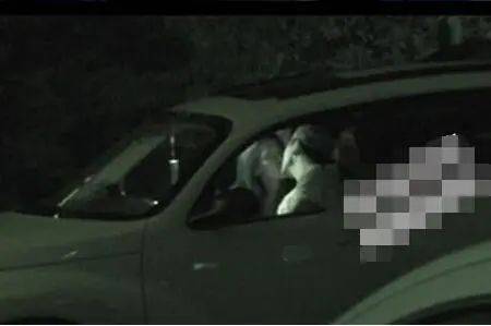 张雨绮和猛男幽会喜迎第四春?曾为爱痴狂却被戴绿帽