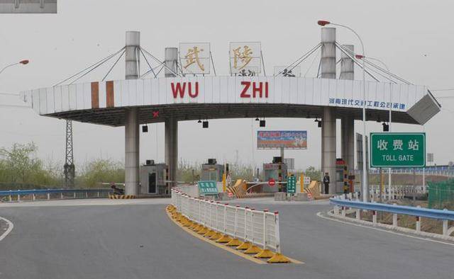 武陟gdp_武陟油茶