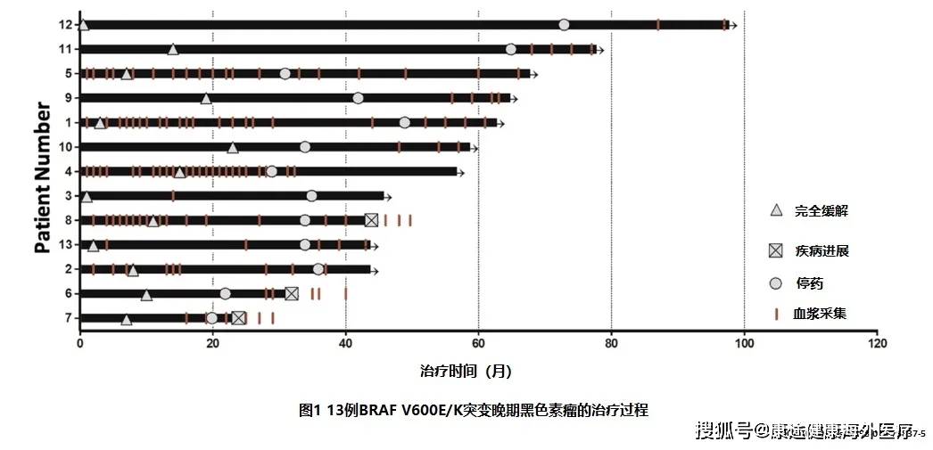 braf突变黑色素瘤靶向治疗完全缓解后停药结果