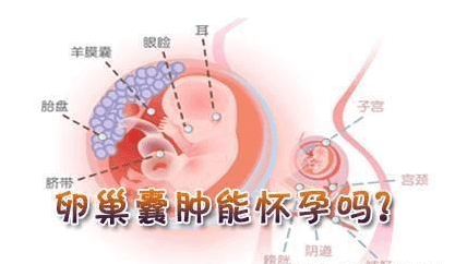 37842eaa6252487ab5d1ee45bfc8c03e.png