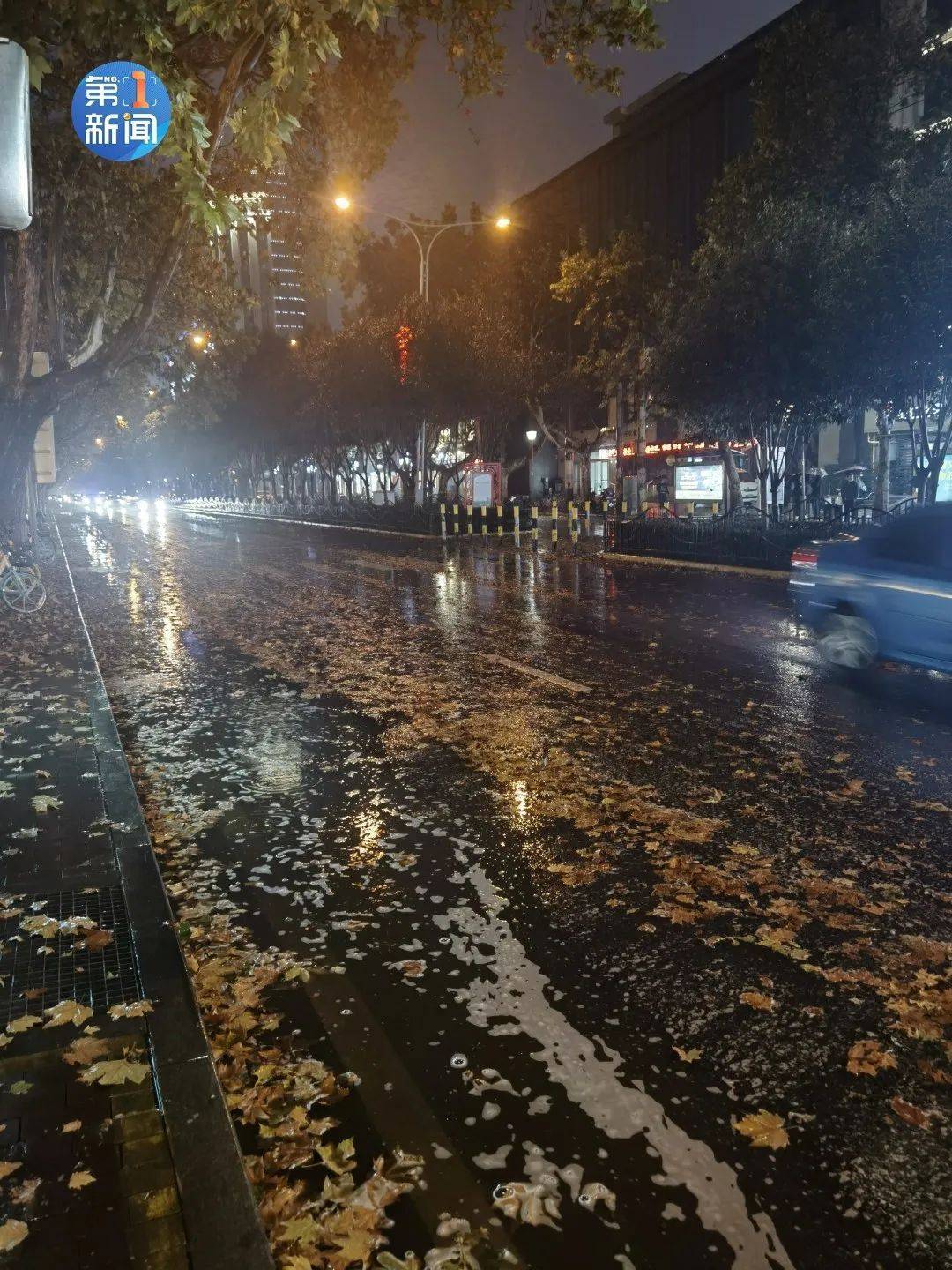 夜雨潇潇,暗黄灯光,雨打纷飞落叶,一场大雨过后, 西安变成了这样.