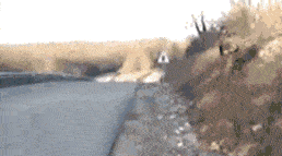 305b4fe8500c4cf2a35ad26744800280.gif