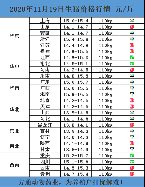 4972545bd3a14260be9d54dba37c2f1a.png