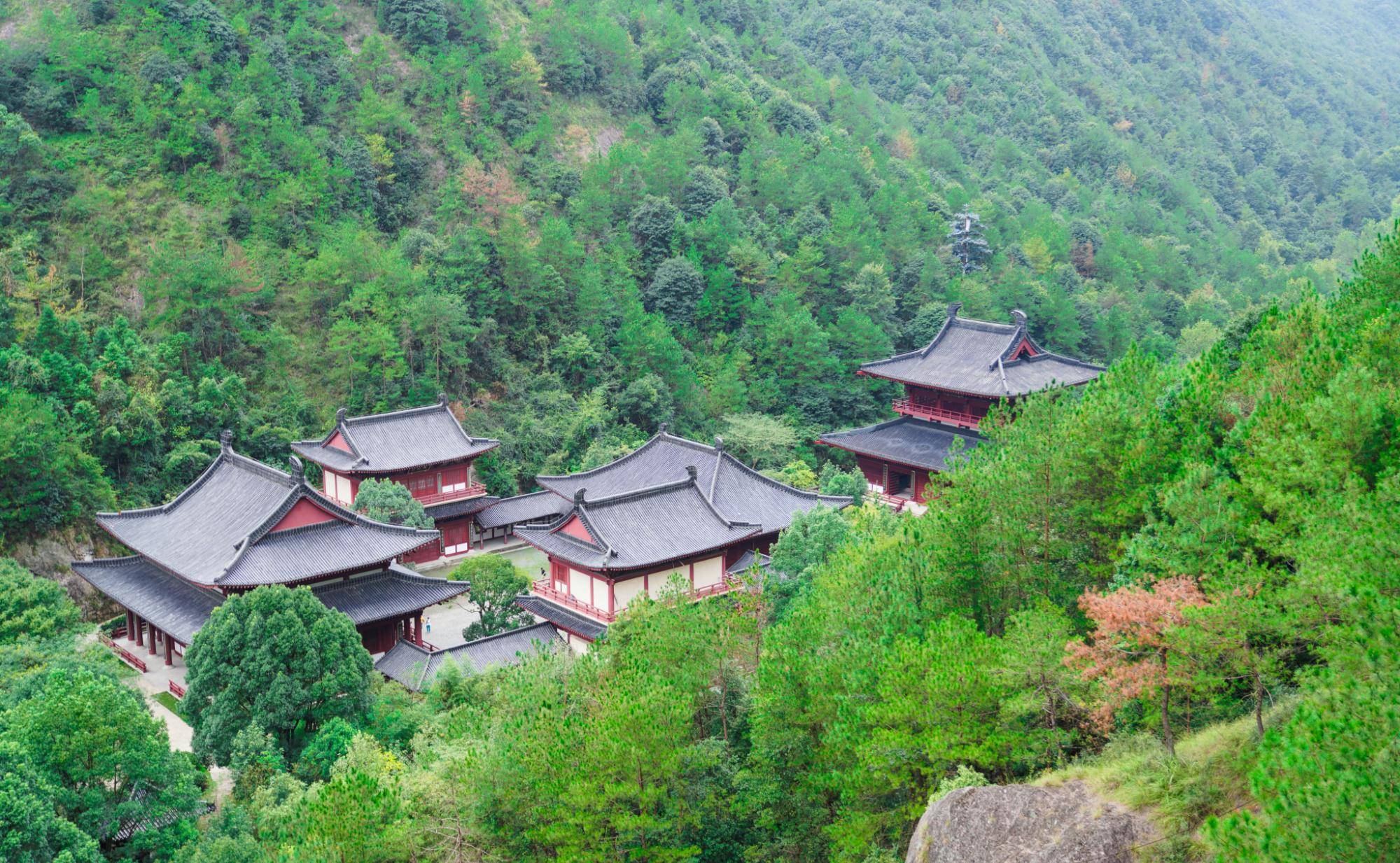 中灶村人口_遂溪县盐灶村人口