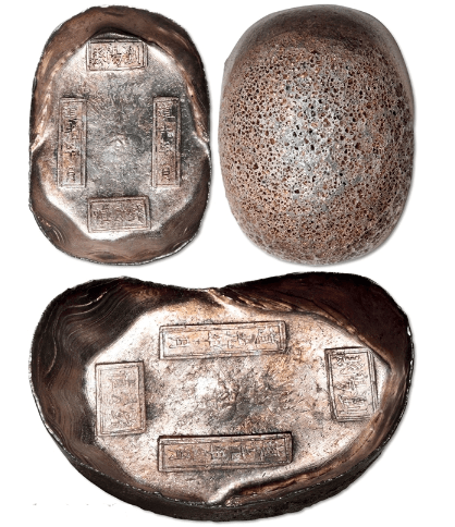 8e877ac77abf41e89a488eeead6dd4