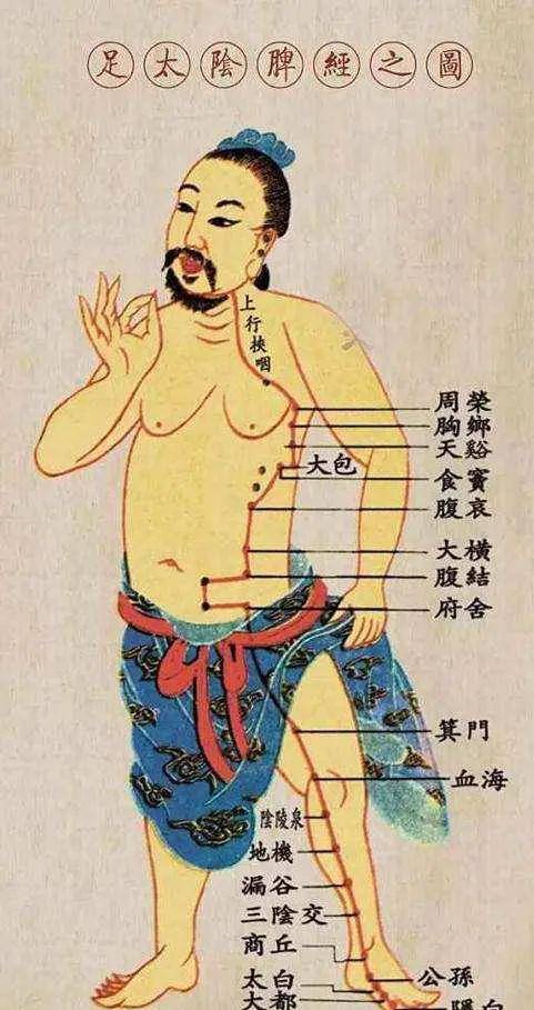 海等穴位，可以帮助脾进行运化，刮痧、点按亦可，每个穴位半小时为宜。