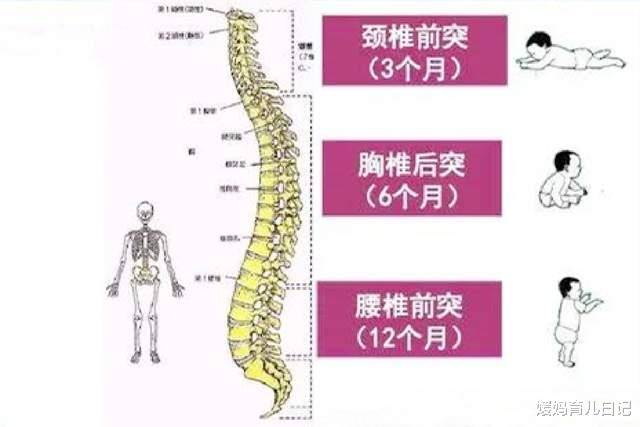 宝宝|看特征更准确宝宝什么时候能用枕头？美国儿科学会给出建议