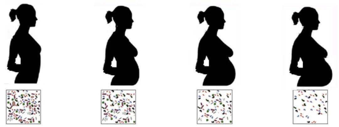 孕妇肠道微生物对母体本身和胎儿的重要意义