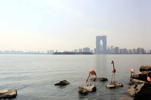 靖江2020最新gdp排名_中国gdp变化图(3)