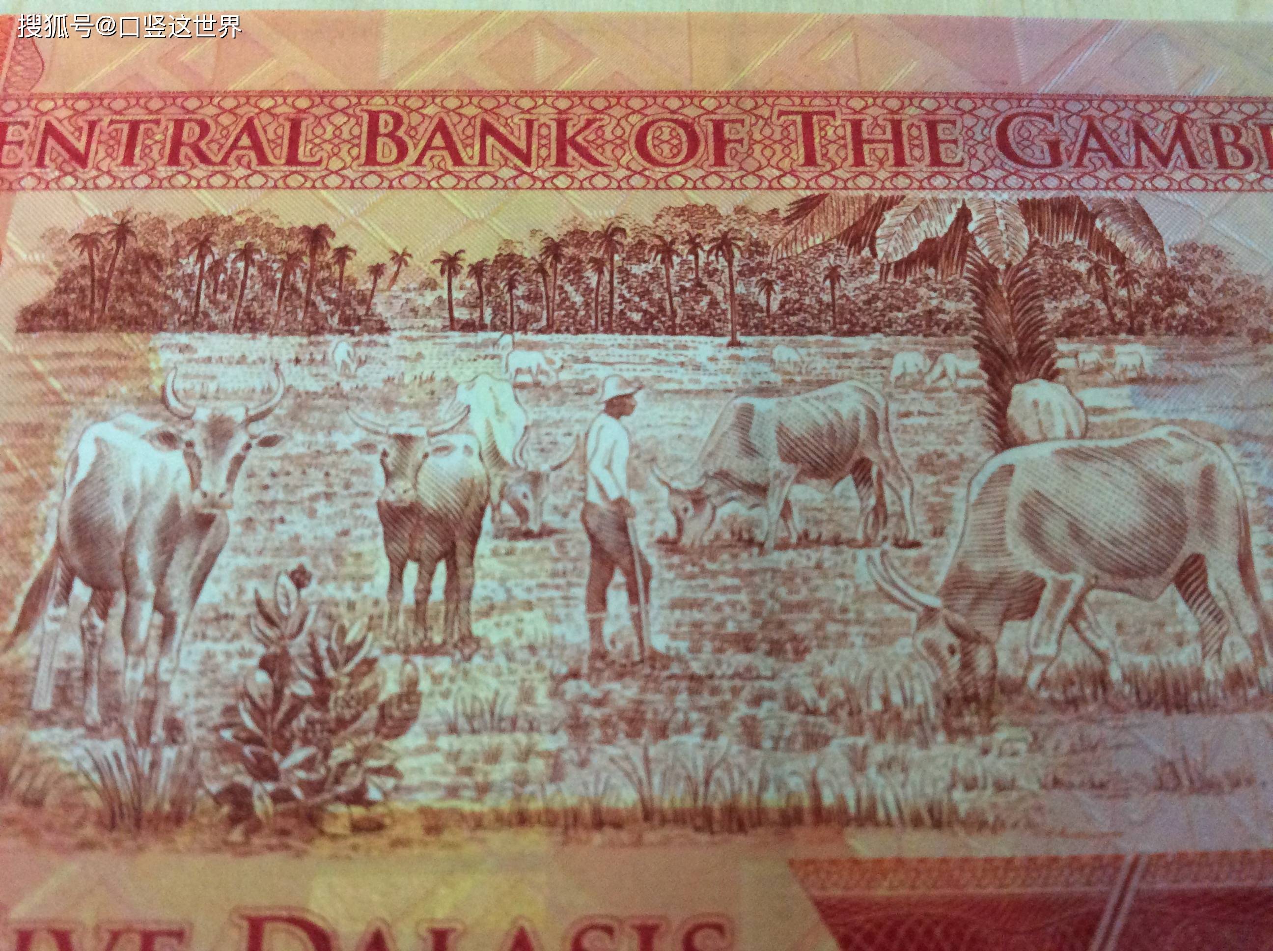 原创非洲狂妄自大的小国冈比亚的货币5达拉西