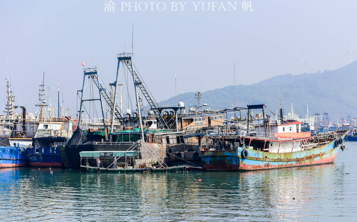 广东最美的闸坡渔港，上千只渔船极为壮观，刚捞的海鲜更是美味