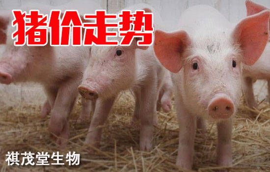 猪肉价格持续下跌图 b511167a1b7c4205bee88ee6b2956675.jpeg
