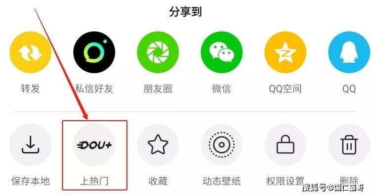 抖音有几种类 2d3a3c0257884a5790d624cbd3f74fc1.jpeg
