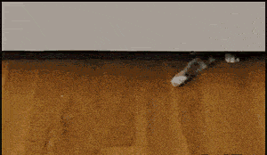 原创搞笑gif趣图男这么多人看着呢你还敢这样欺负我哼