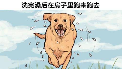 5e7aab8d33c84055ad3c75a9fc566ee8.jpeg