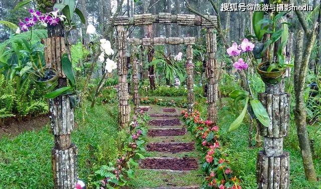 印尼森林中的魔法光桥，是最大的兰花收藏地，出名的却是一座桥
