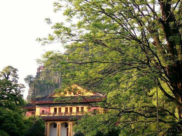 广西师范大学全排名_6年仅获6学分“心真大”,这些专业本科生被广西师大(2)