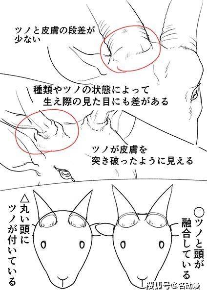 怎么画人物动物 5e3ada065425425e9fc1a2217a38bec9.jpeg