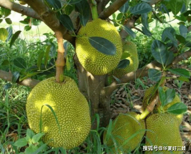a1d82a39e32d434cbc4aa8413f6b0a99.png