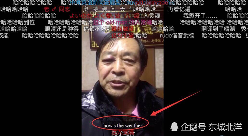 混元形意拳一代宗师马宝国网友耗子尾汁