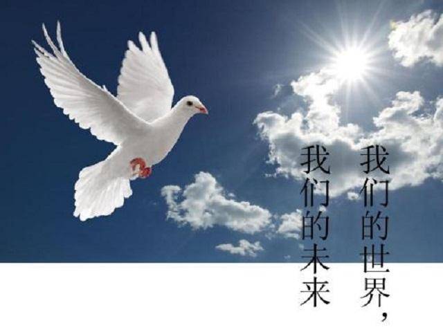 金灿荣:越南有个毛病,野心太大