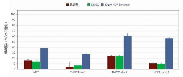 单倍群M人口_世界y单倍群人口分布(2)