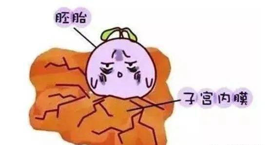 94fdf09f7eeb4c43befdf8d08f0ab5fa.jpeg