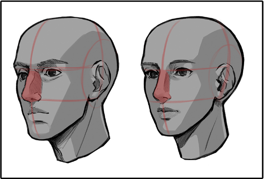 典型的女性鼻子鼻梁较窄且鼻孔偏小,绘制时可以把鼻子的尖端画得较