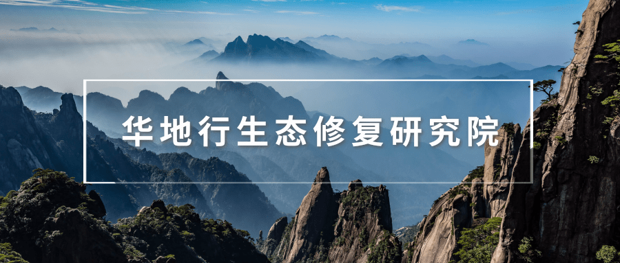 b9bc2678da784061a84b3baead928036.png