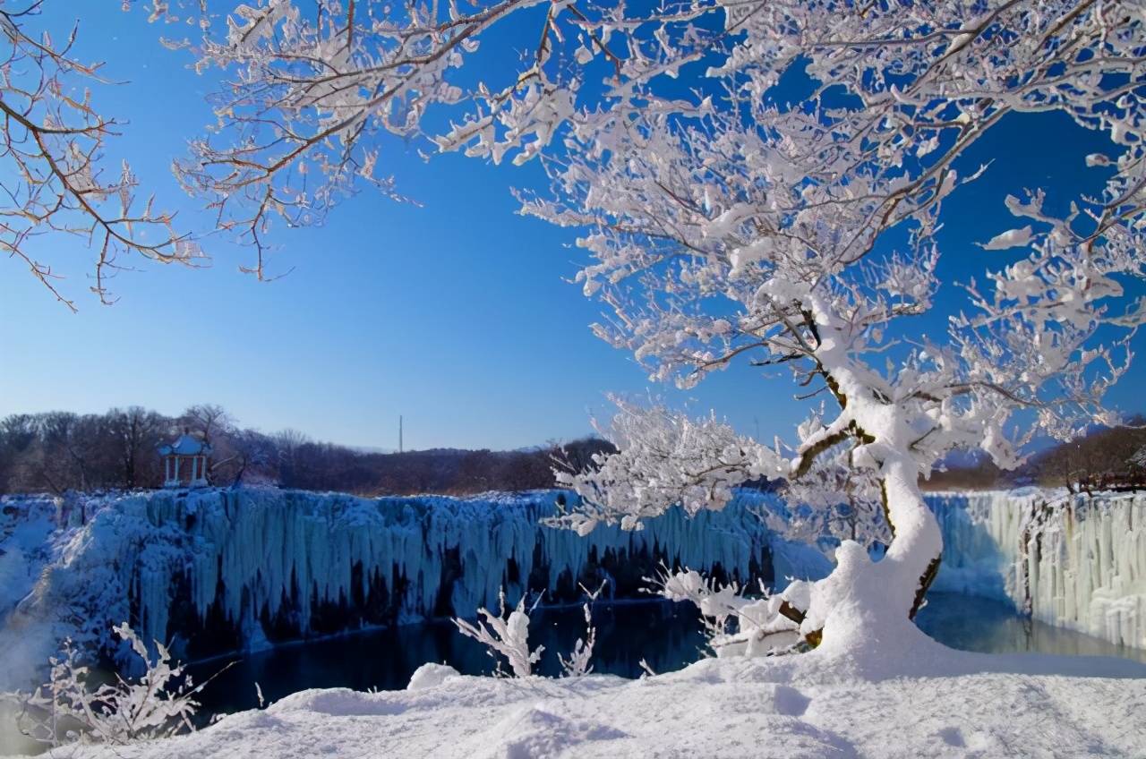 打卡龙江这些旅游景点,就等于集齐国际顶级冰雪美景!