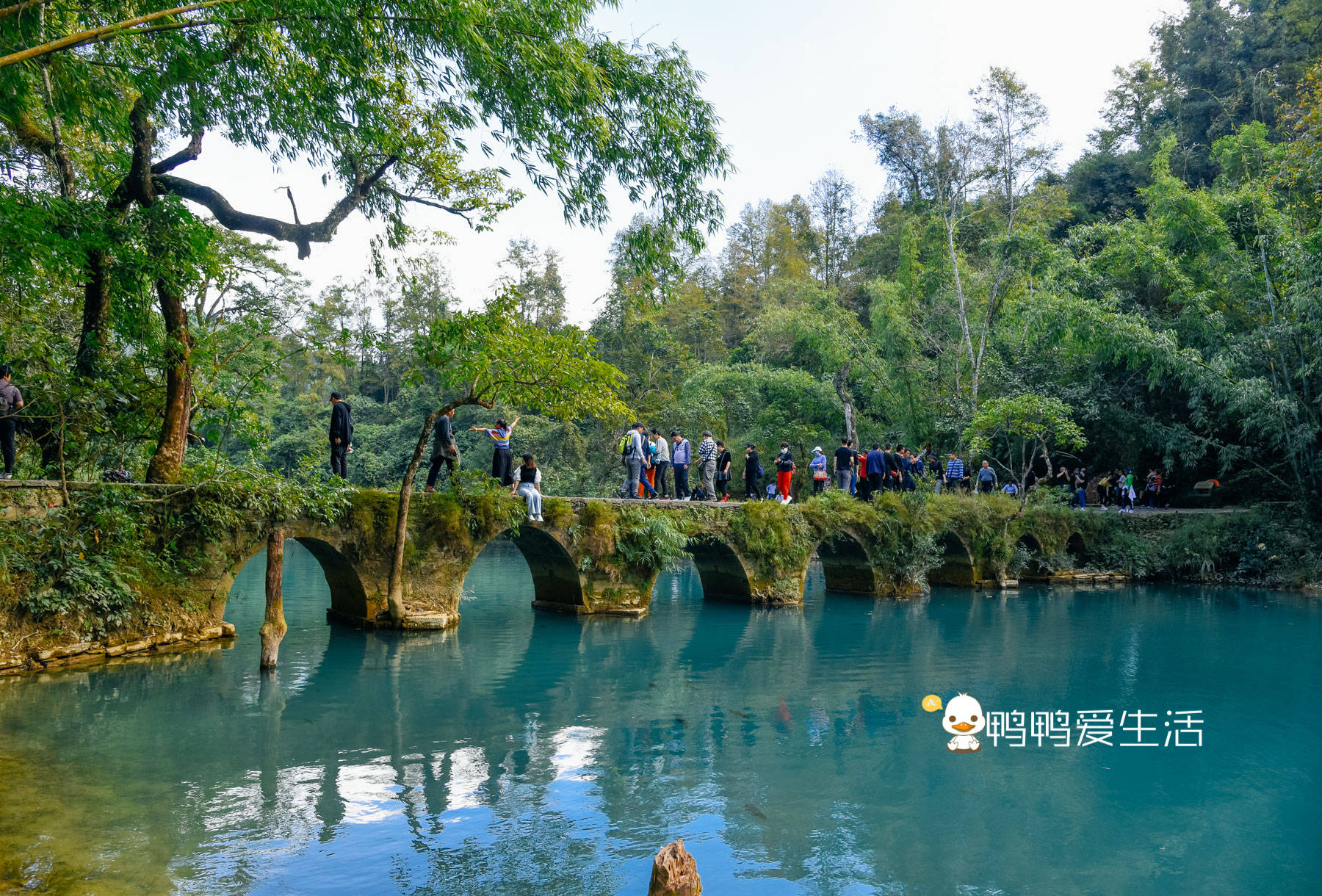 贵州这一景区汇集众多知名瀑布，水系环绕，以一座石桥而命名！