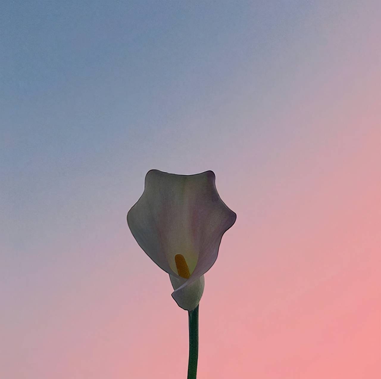 bd0a03b2aa064601b1c161355e7c7fd5.jpeg