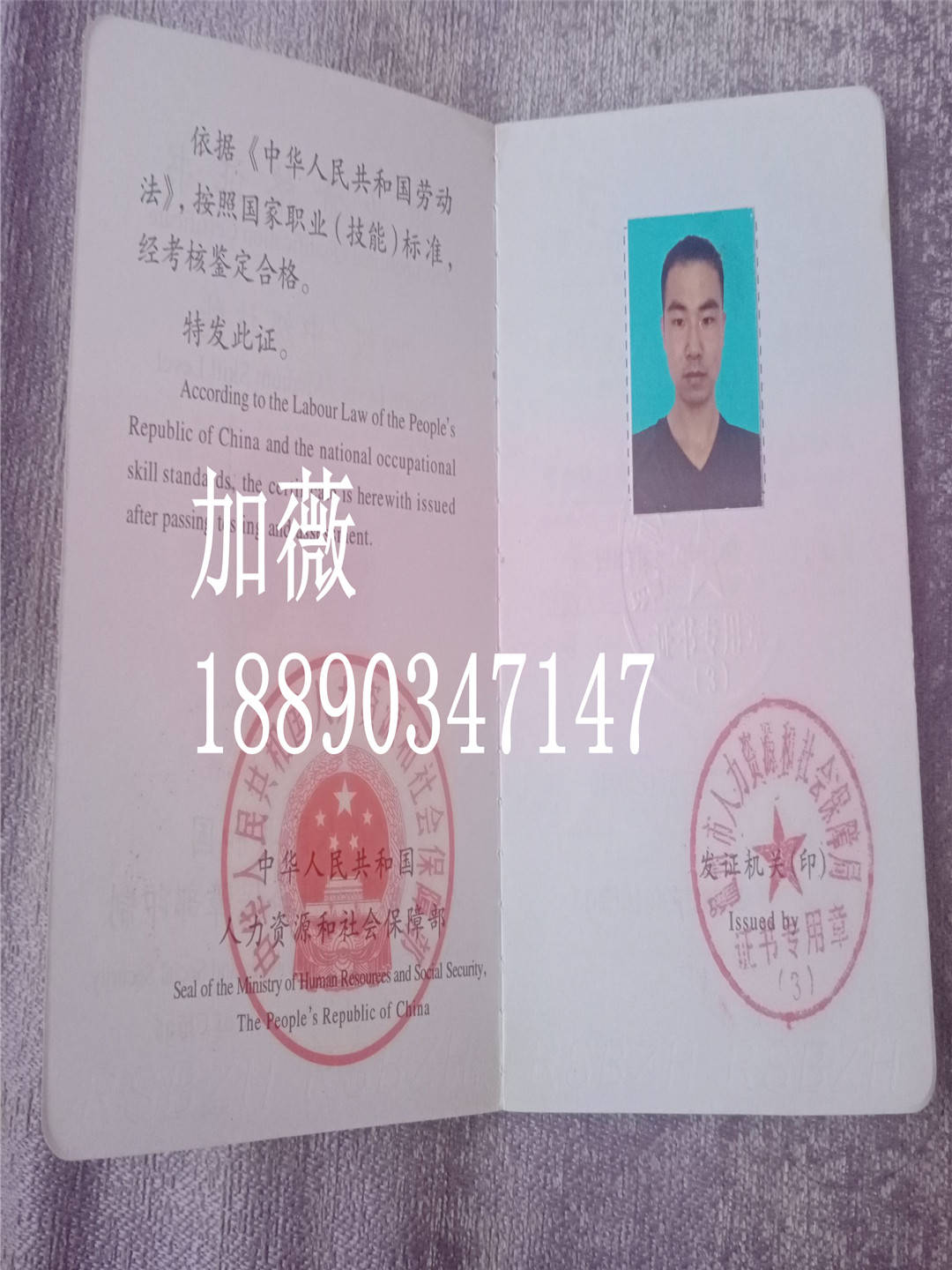 534e0debf3ba42b9a6a46923a5db613f.jpeg