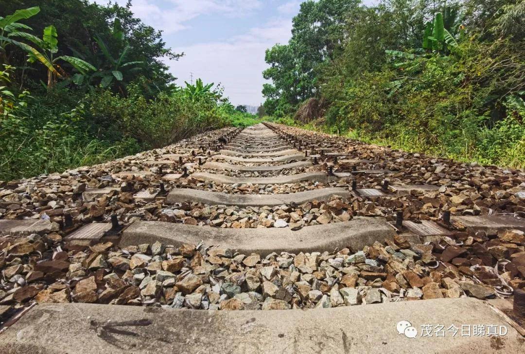 铁路公园将重建三茂铁路纪念碑▼深茂铁路北侧.