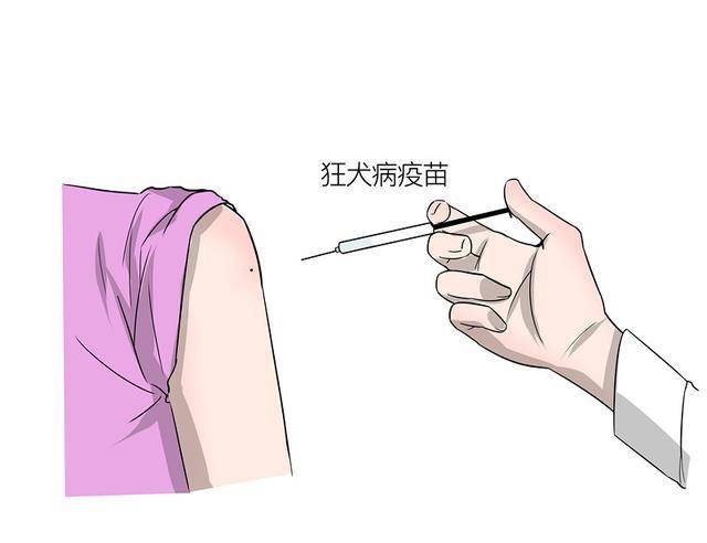 孕妇被狗咬怎么办