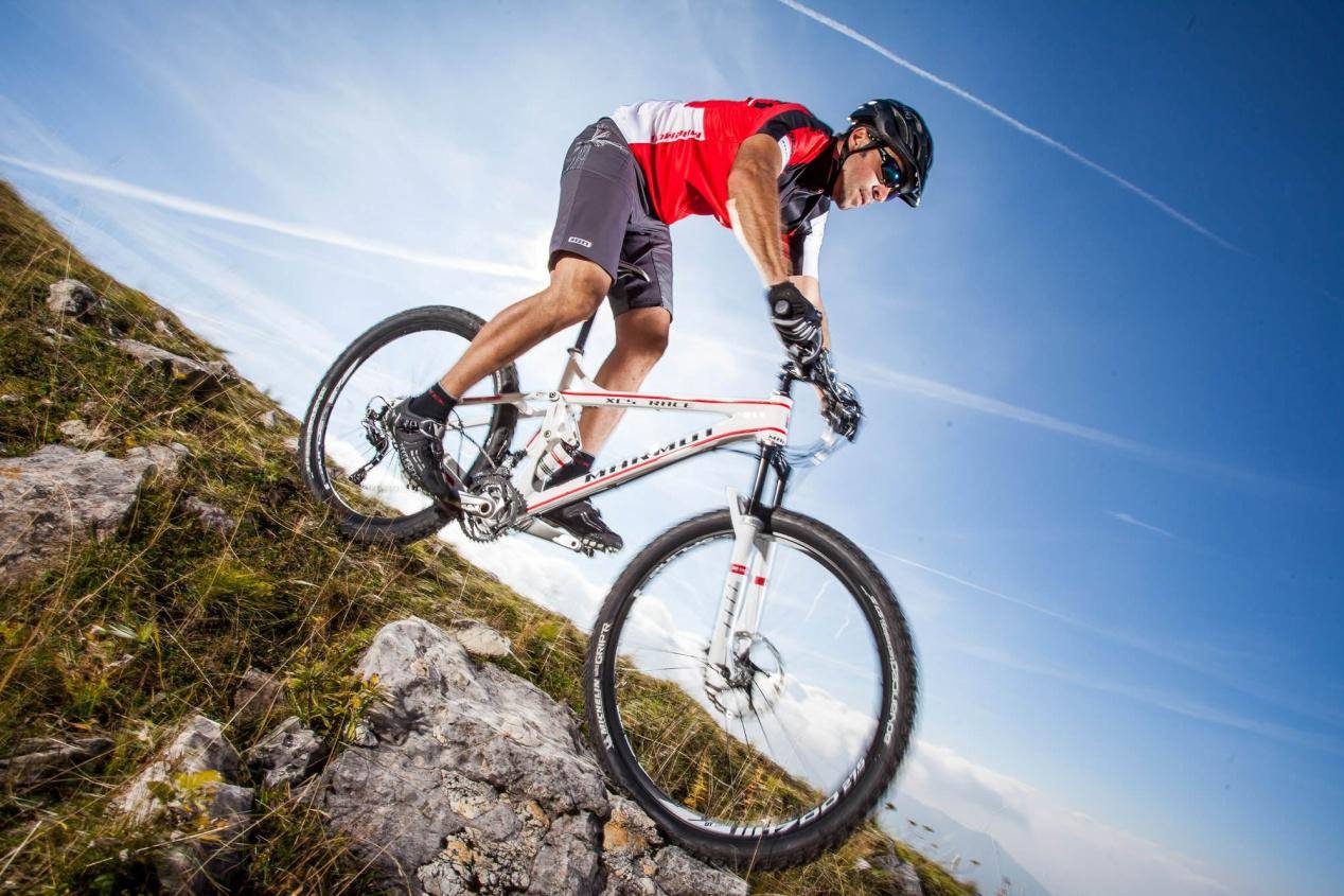 自行车品牌排名公路车图片 67a16c9db5c544c494933074751ad34d.jpeg