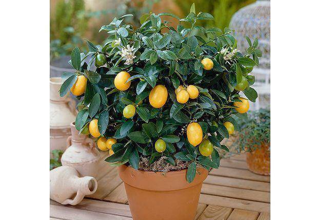 8fba7013a5d7490f8b43f5d6977a430c.jpeg