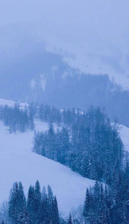 什么时候天气才会冷一点 e9952d627d1a4f6c8c244cfe79e4d6fa.jpeg